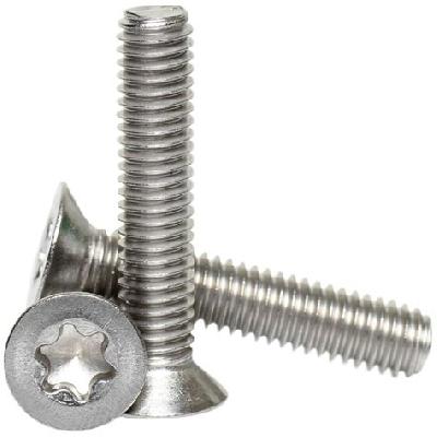 Stainless Steel Screw