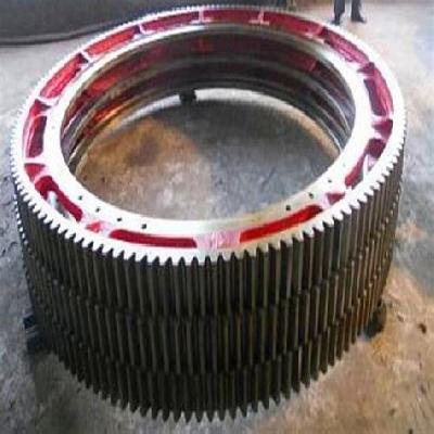 Fertilizer Plant Girth Gear