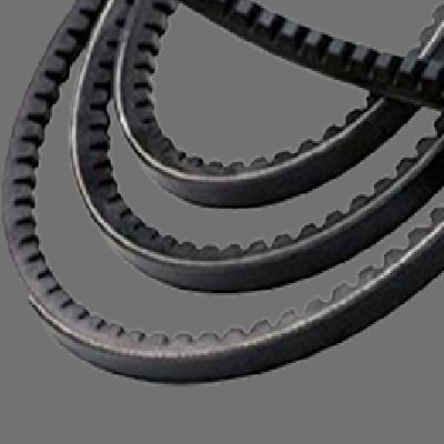Fenner Industrial V Belt