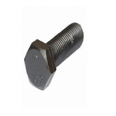 MS Foundation Bolt Nut