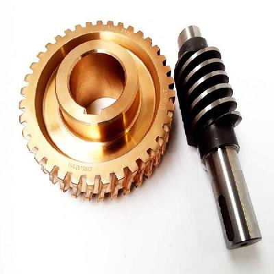 Worm And Worm Wheel