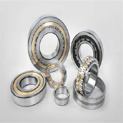 Cylindrical Bearing