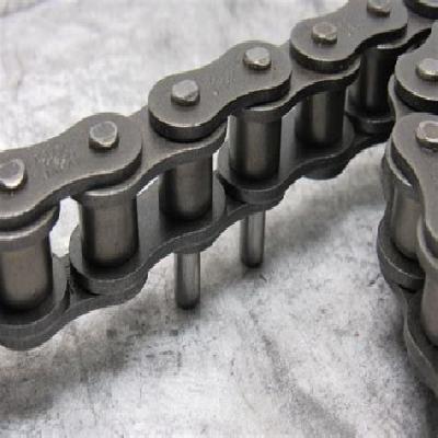 Roller Chain with Extended Pin