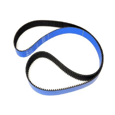 Blue Timing Belt