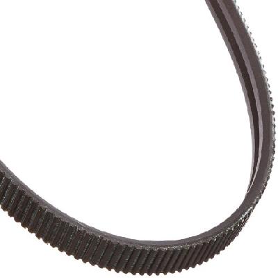 Polyflex JB Belt