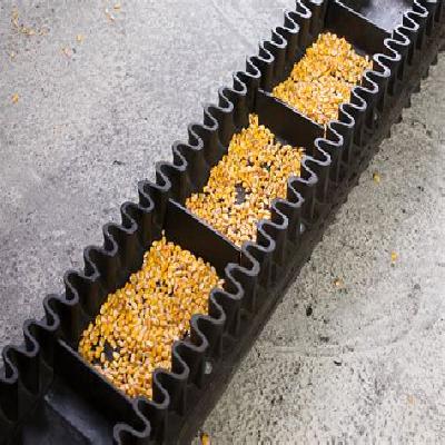 Sidewall Belts
