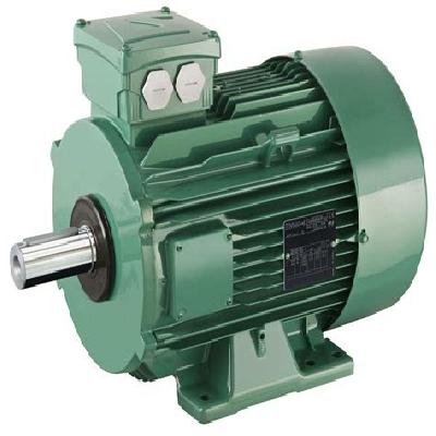 Electric Motor