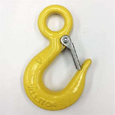 Eye Hook With Latch