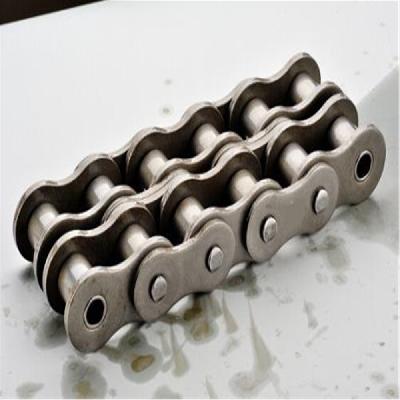 SS Roller Chain