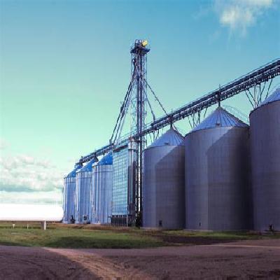 Grain Handling System