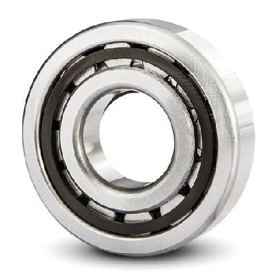E Type Cylindrical Roller Bearing