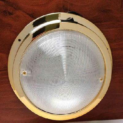 LED Dome Light