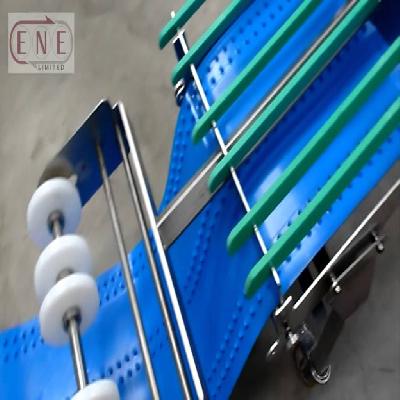 Hygienic Conveyor Belt