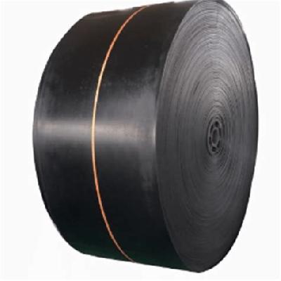 Nylon Conveyor Belt