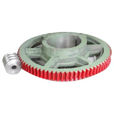 Cast Iron Worm Wheel