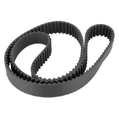 Contitech Timing Belt