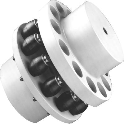 Pin And Bush Type Coupling