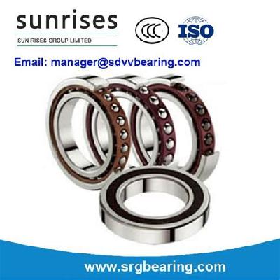 FAG Spindle Ball Bearing