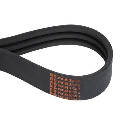 Banded Belt