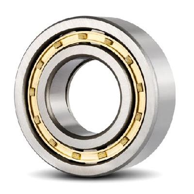 Cylindrical Roller Bearing