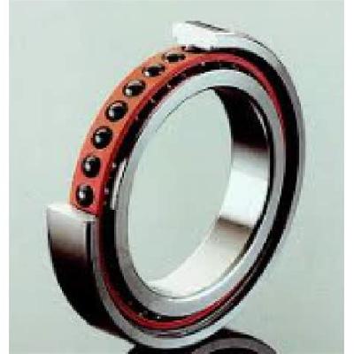 Fag  Spindle Ball Bearings