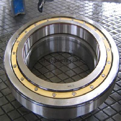 Fag Roller Mill Bearing