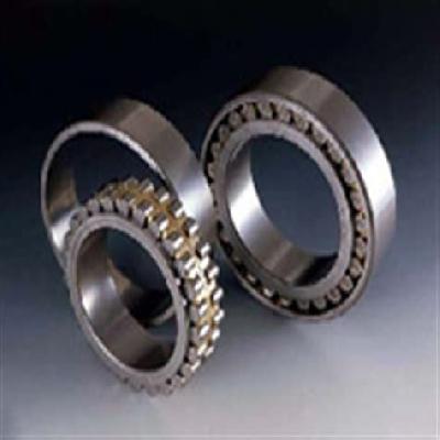 Nachi Double Row Cylindrical Roller  Bearings