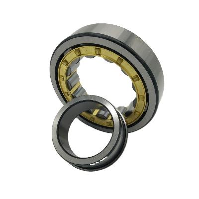 Nachi Eccentric Bearing