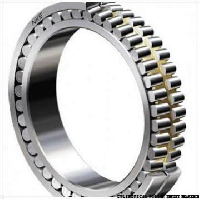 NSK Cylindrical Roller Thrust Bearing