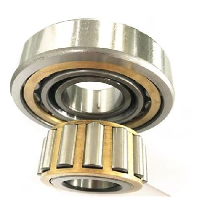 NSK Eccentric Bearing