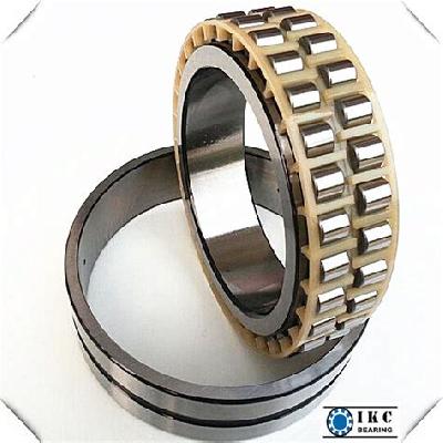 SKF Double Row Cylindrical Roller Bearings