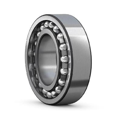 SKF SS Bearing