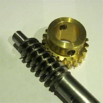 Worm Gear and Shaft