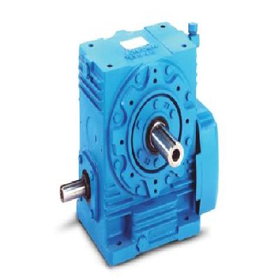 Elecon Worm Reduction Gearbox