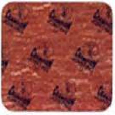 Champion Style 20 Steam