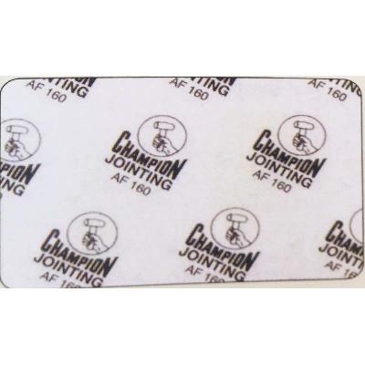 CHAMPION Style AF160 Acid