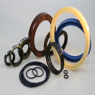 Oil Seal
