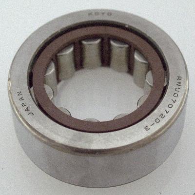 Roller Bearing