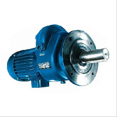 Flange Mounted Geared Motor