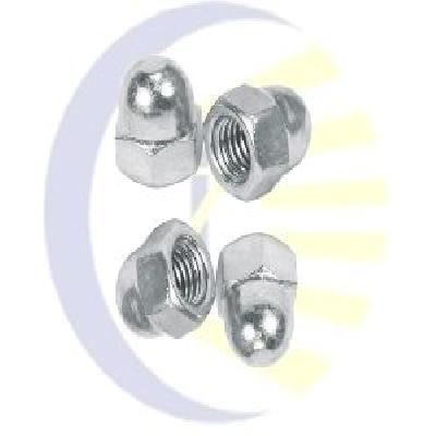 SS Dom Nut