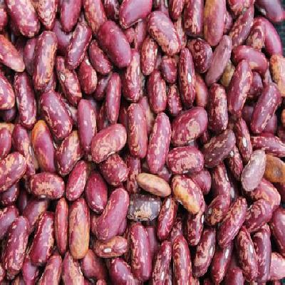 Red Kidney beans