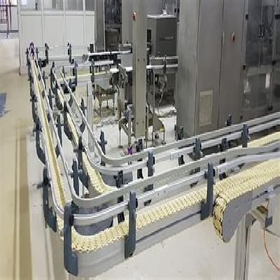 Chain Conveyor for Sugar Industry