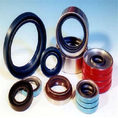 Shaft Seals