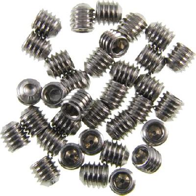 SS Gurb Screw