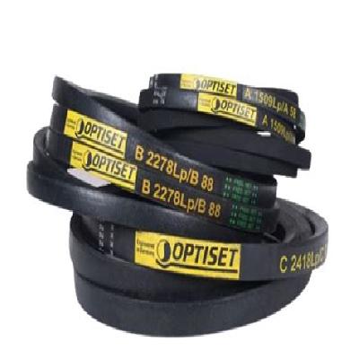 Variable Speed Belts