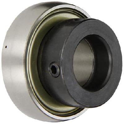 Eccentric Bearing