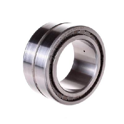 INA Cylinder Roller Bearing