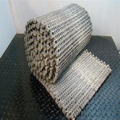 Plastic Chain Conveyor Belt