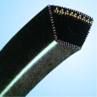 SWR Europe Wrapped V Belt