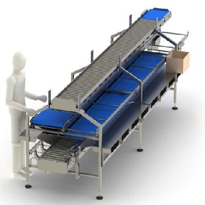 Packing Belt Conveyor